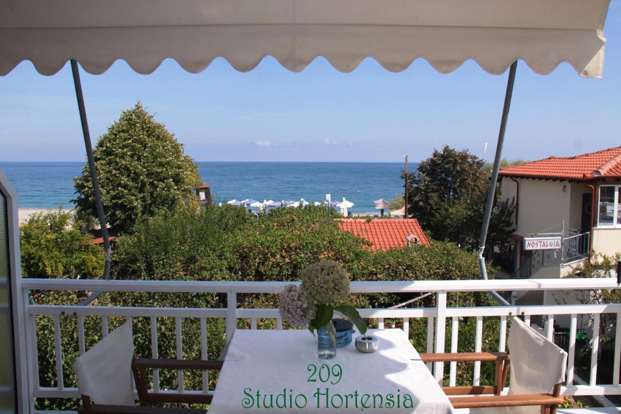 Fasoli Studios Paralia Panteleimonos Eksteriør billede